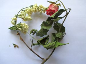 geschichte muttertag